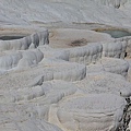 IMG_3104.jpg