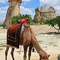 IMG_3946.jpg