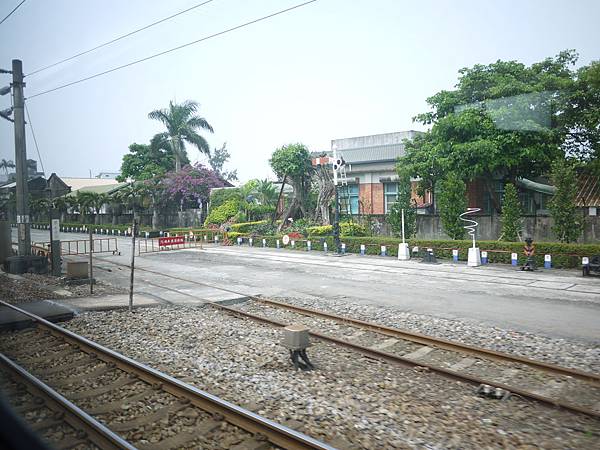 P1000808.JPG