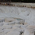 IMG_3103.jpg