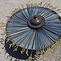 IMG_3993.jpg