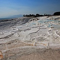 IMG_3091.jpg