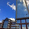 IMG_4650.jpg