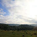 IMG_4609.jpg