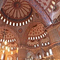 IMG_1880.jpg