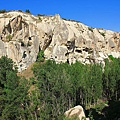 IMG_3775.jpg