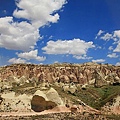 IMG_3929.jpg