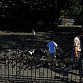 IMG_4641.jpg