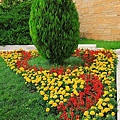 IMG_4577.jpg
