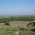 IMG_1881.jpg