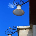 IMG_4109.jpg