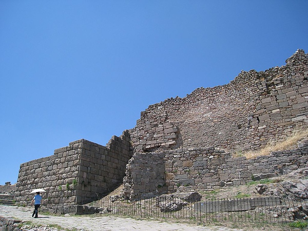 IMG_1903.jpg