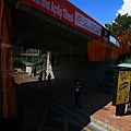 IMG_4633.jpg