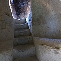 IMG_3821.jpg