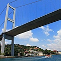 IMG_4884.jpg