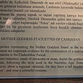 IMG_4400.jpg