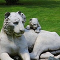 IMG_4965.jpg