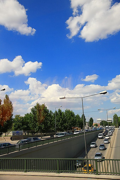 IMG_4494.jpg
