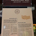 IMG_4362.jpg
