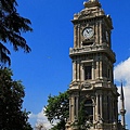 IMG_4689.jpg