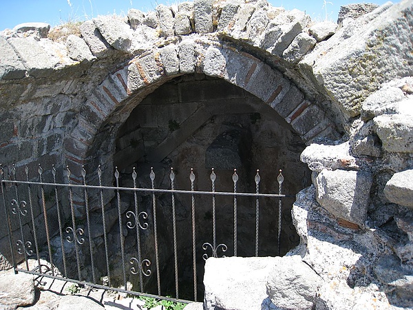 IMG_1908.jpg
