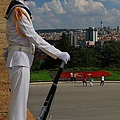 IMG_4535.jpg