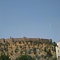 IMG_2083.jpg