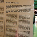 IMG_4395.jpg