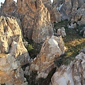 IMG_3682.jpg