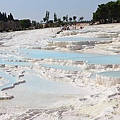 IMG_3081.jpg