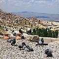 IMG_4043.jpg
