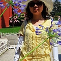 IMG_4947.jpg