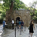 IMG_2017.jpg