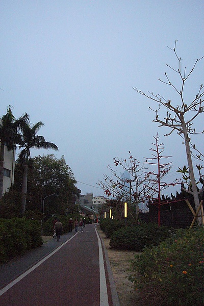 P1080534.jpg