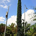 IMG_4805.jpg