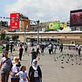 IMG_4811.jpg