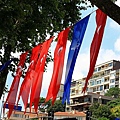 IMG_4786.jpg