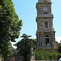 IMG_4658.jpg