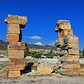 IMG_3155.jpg