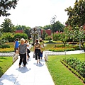 IMG_5004.jpg
