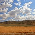 IMG_4279.jpg