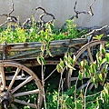 IMG_4267.jpg
