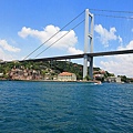 IMG_4882.jpg