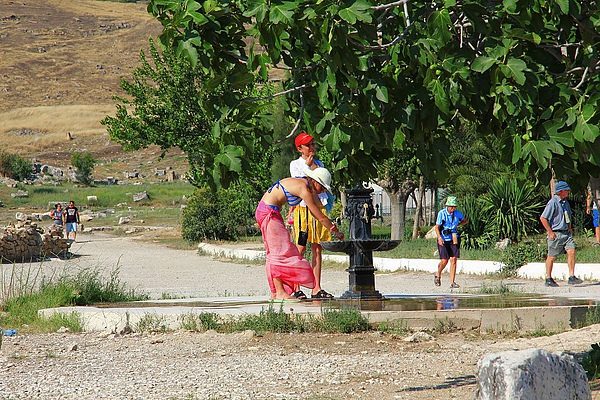 IMG_3156.jpg