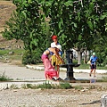 IMG_3156.jpg