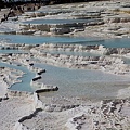 IMG_3090.jpg