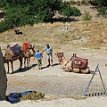IMG_3859.jpg