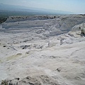 IMG_2097.jpg