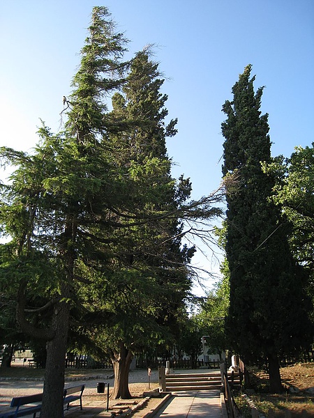 IMG_1875.jpg