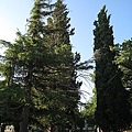 IMG_1875.jpg